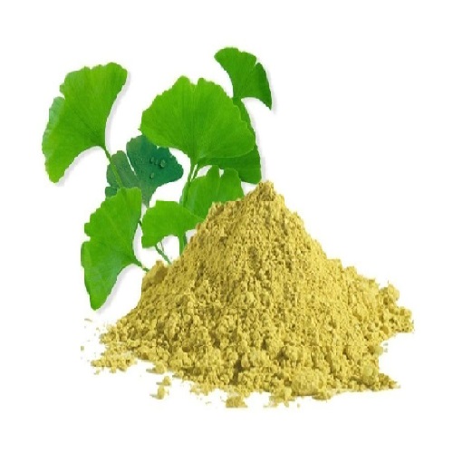 قیمت و خرید عصاره پودری جینکوبیلوبا