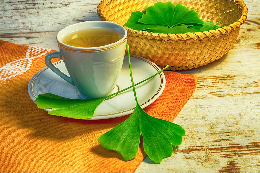 قیمت و خرید عصاره جینکوبیلوبا
