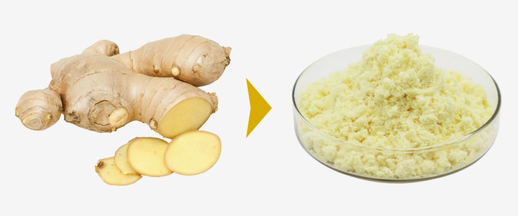 عصاره گیری زنجبیل