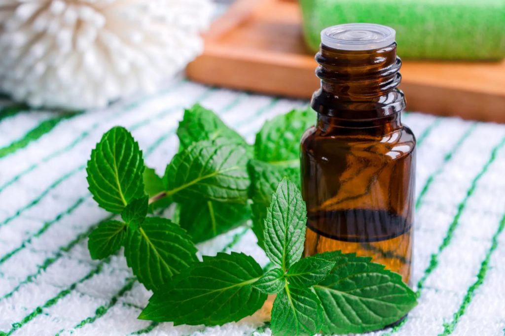 روغن نعنا