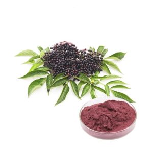 عصاره آقطی سیاه پودری