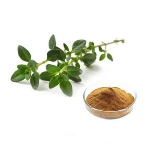 عصاره آویشن پودری