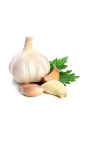 کاربرد عصاره سیر در صنعت دارو