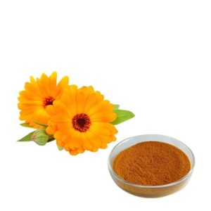 عصاره همیشه بهار پودری