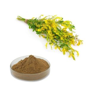 عصاره یونجه زرد پودری