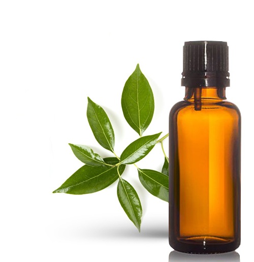 اسانس روغن کافور اسانس روغن کافور