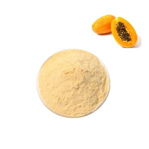 عصاره پاپایا پودری