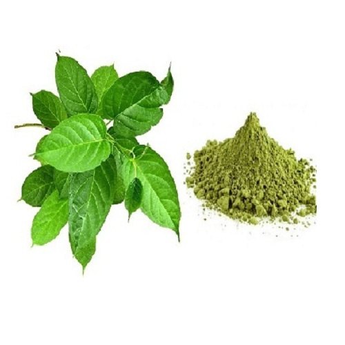 عصاره گیمنما پودری عصاره گیمنما پودری