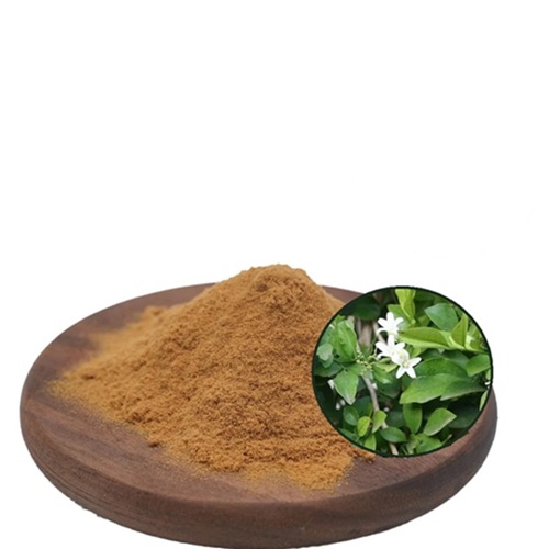 عصاره باکوپا پودری عصاره باکوپا پودری